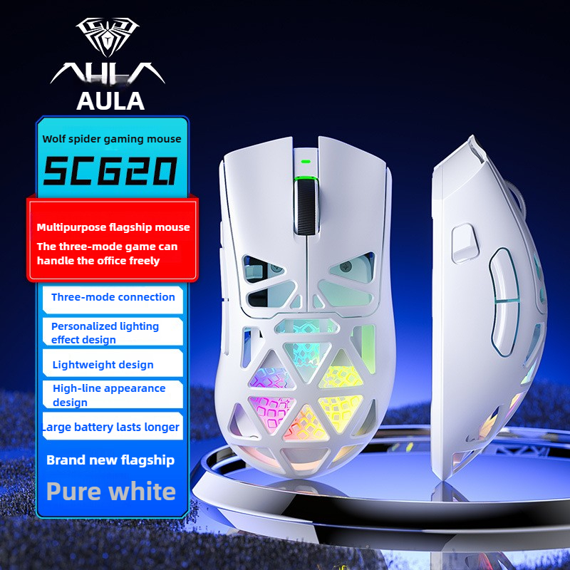 AULA Gamer Drahtlose Gaming-Ma – Esports Gaming Maus Bewertung und Preis